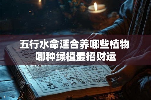 五行水命适合养哪些植物 哪种绿植最招财运