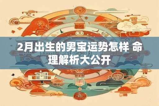 2月出生的男宝运势怎样 命理解析大公开