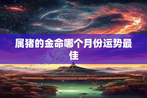 属猪的金命哪个月份运势最佳