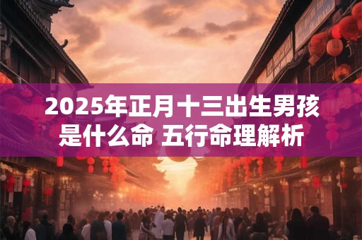 2025年正月十三出生男孩是什么命 五行命理解析