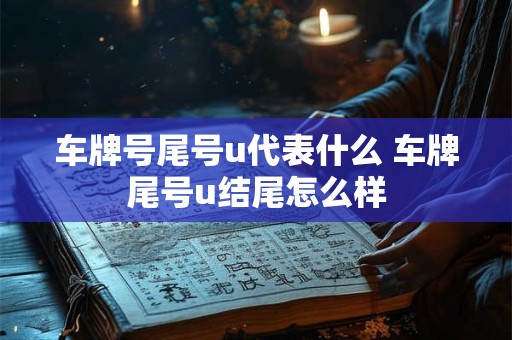 车牌号尾号u代表什么 车牌尾号u结尾怎么样