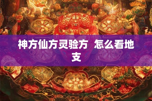 神方仙方灵验方  怎么看地支