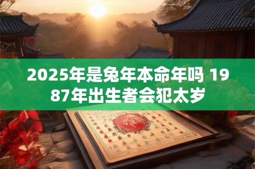 2025年是兔年本命年吗 1987年出生者会犯太岁