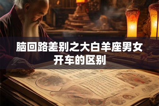 脑回路差别之大白羊座男女开车的区别