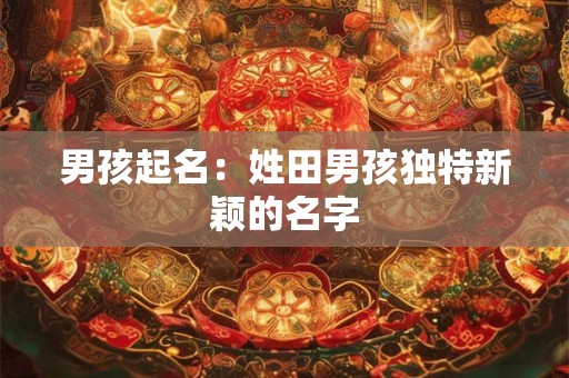 男孩起名：姓田男孩独特新颖的名字