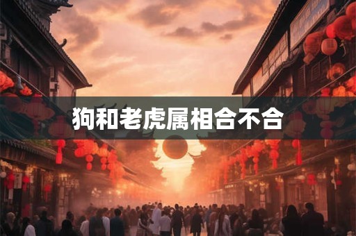 狗和老虎属相合不合