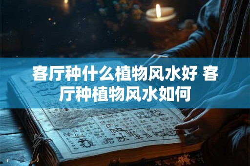 客厅种什么植物风水好 客厅种植物风水如何