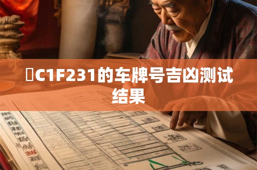 閩C1F231的车牌号吉凶测试结果