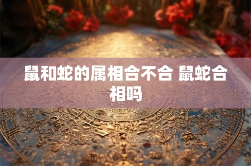 鼠和蛇的属相合不合 鼠蛇合相吗 鼠和蛇的属相合不合 鼠蛇合相吗