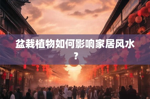 盆栽植物如何影响家居风水？