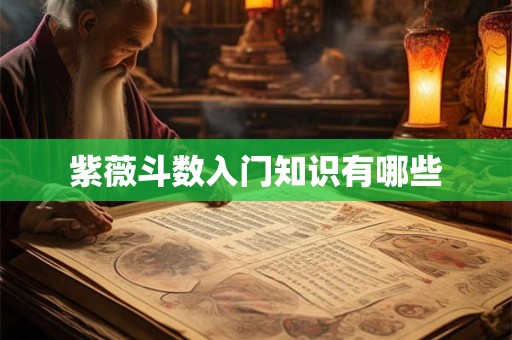 紫薇斗数入门知识有哪些