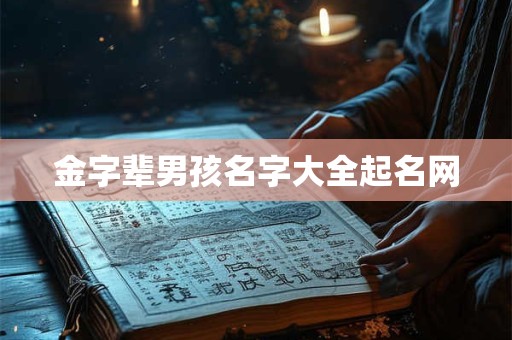 金字辈男孩名字大全起名网