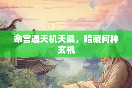 命宫遇天机天梁，暗藏何种玄机
