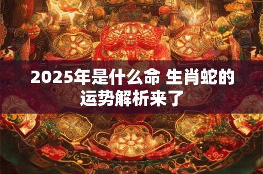 2025年是什么命 生肖蛇的运势解析来了