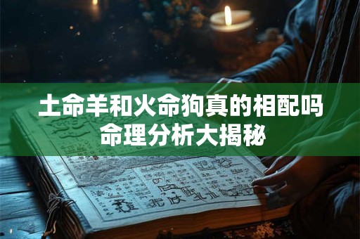 土命羊和火命狗真的相配吗 命理分析大揭秘