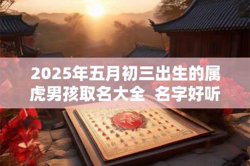 2025年五月初三出生的属虎男孩取名大全  名字好听的