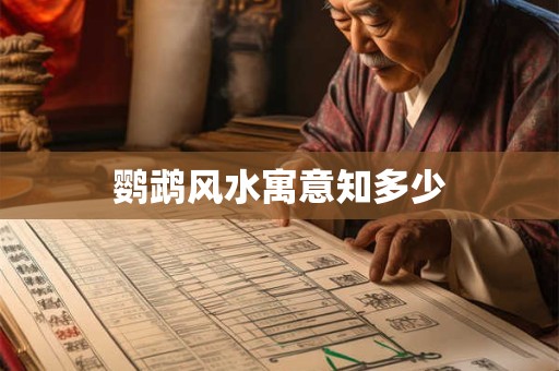 鹦鹉风水寓意知多少