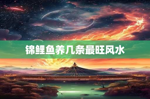 锦鲤鱼养几条最旺风水