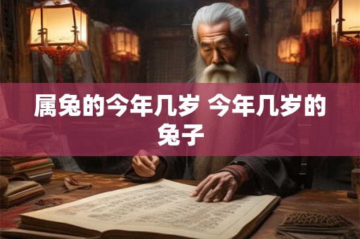 属兔的今年几岁 今年几岁的兔子