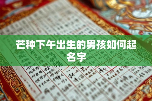 芒种下午出生的男孩如何起名字