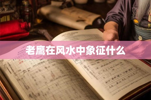 老鹰在风水中象征什么