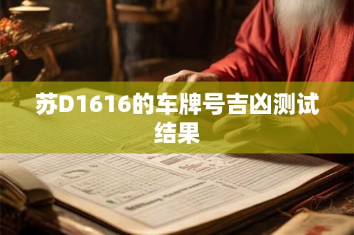 苏D1616的车牌号吉凶测试结果