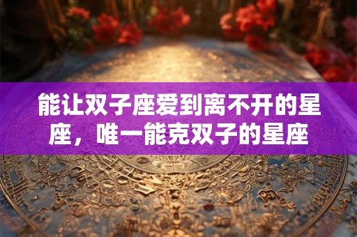 能让双子座爱到离不开的星座，唯一能克双子的星座