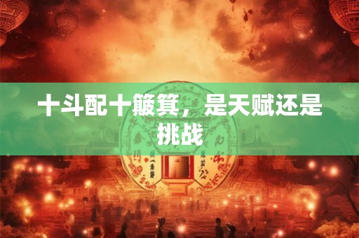 十斗配十簸箕,是天赋还是挑战 十斗配十簸箕,是天赋还是挑战