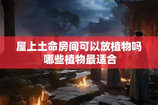 屋上土命房间可以放植物吗 哪些植物最适合