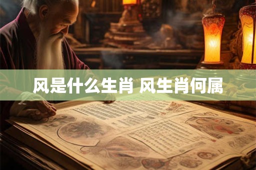 风是什么生肖 风生肖何属