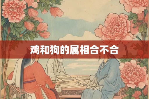 鸡和狗的属相合不合