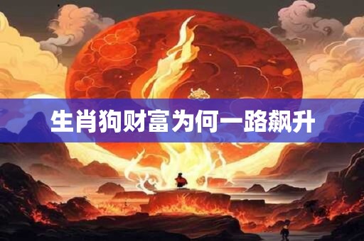 生肖狗财富为何一路飙升