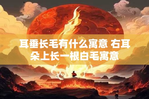 耳垂长毛有什么寓意 右耳朵上长一根白毛寓意 耳垂长毛有什么寓意 右耳朵上长一根白毛寓意
