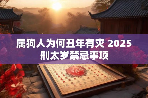 属狗人为何丑年有灾 2025刑太岁禁忌事项