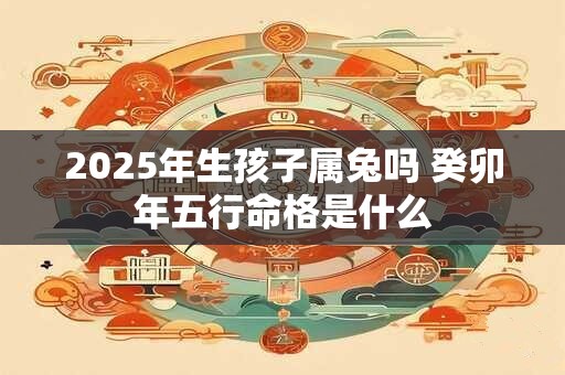 2025年生孩子属兔吗 癸卯年五行命格是什么