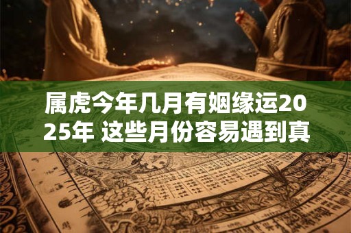 属虎今年几月有姻缘运2025年 这些月份容易遇到真命天子