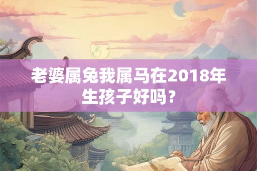 老婆属兔我属马在2018年生孩子好吗？