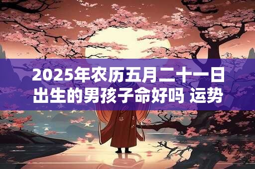 2025年农历五月二十一日出生的男孩子命好吗 运势怎么样