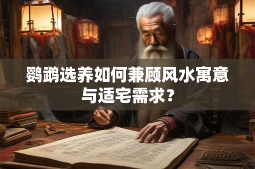 鹦鹉选养如何兼顾风水寓意与适宅需求？