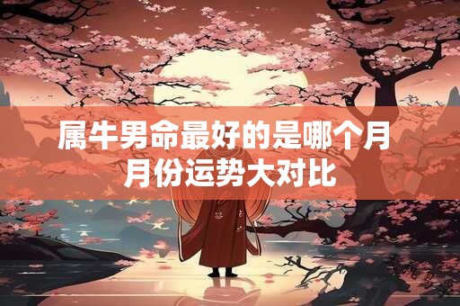 属牛男命最好的是哪个月 月份运势大对比
