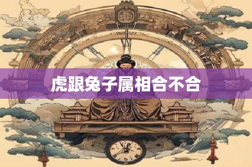 虎跟兔子属相合不合