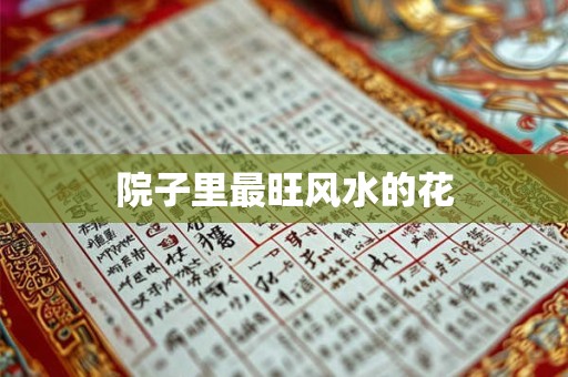 院子里最旺风水的花