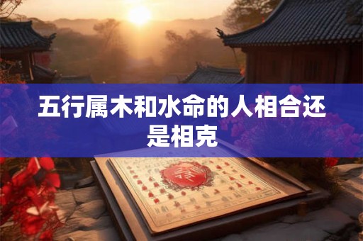 五行属木和水命的人相合还是相克