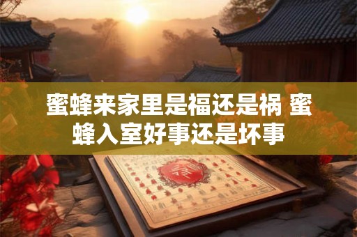蜜蜂来家里是福还是祸 蜜蜂入室好事还是坏事