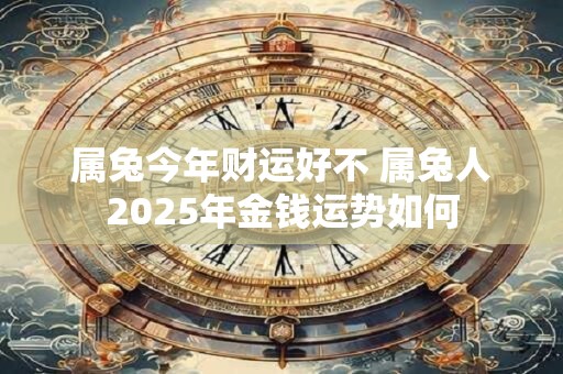 属兔今年财运好不 属兔人2025年金钱运势如何