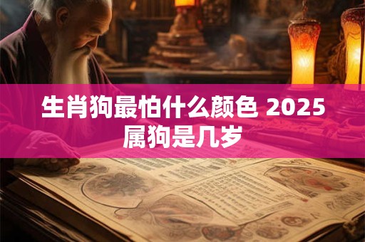 生肖狗最怕什么颜色 2025属狗是几岁