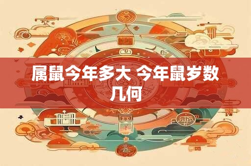 属鼠今年多大 今年鼠岁数几何