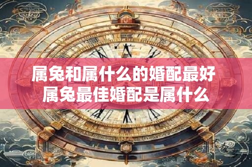 属兔和属什么的婚配最好 属兔最佳婚配是属什么