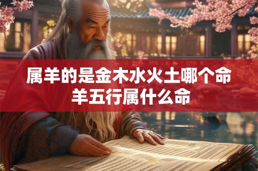 属羊的是金木水火土哪个命 羊五行属什么命