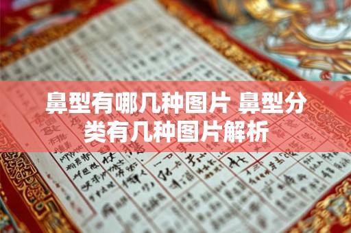 鼻型有哪几种图片 鼻型分类有几种图片解析